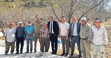 Badem bahçelerinde hasat mesaisi başladı