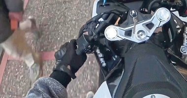 Trafik magandasının ehliyeti iptal edildi