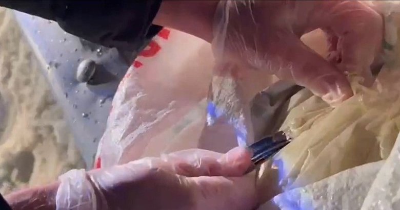 25 ilde zehir şebekelerine operasyon! 255 şüpheli yakalandı!