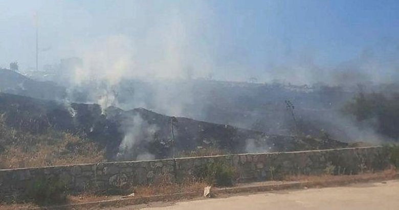Bodrum’da makilik yangını! Hızlı müdahale felaketi önledi