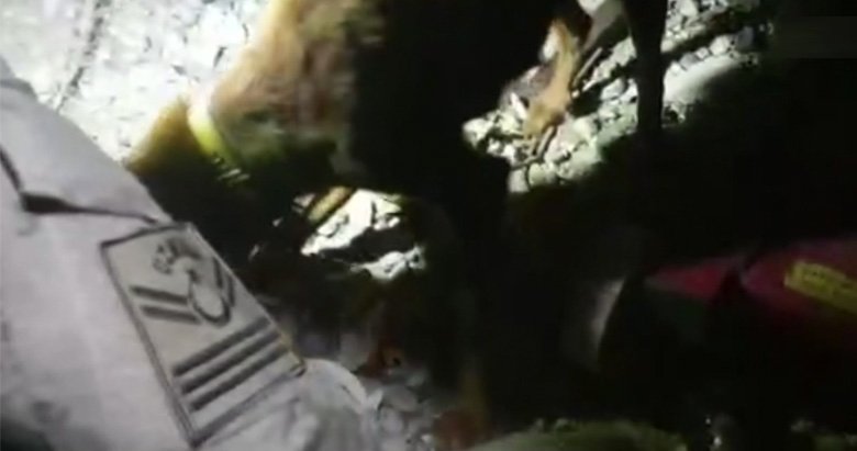 Yangın bölgesinde köpek ve yavrularına jandarma koruması