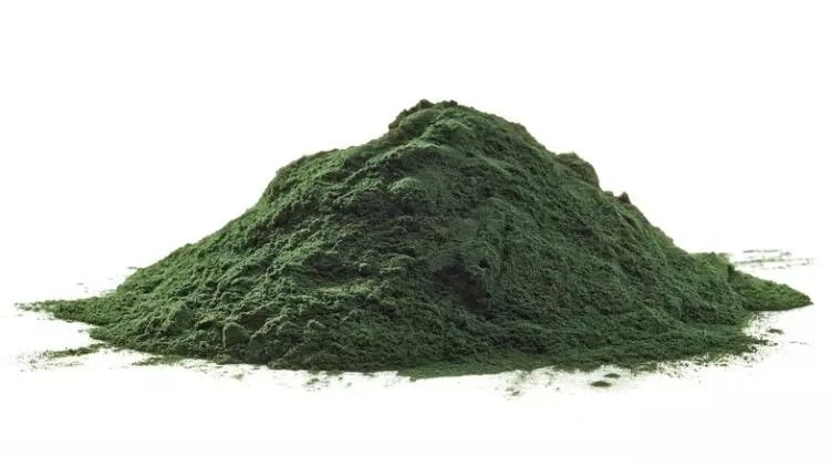 Chlorella Klorella nedir? Neye iyi gelir?