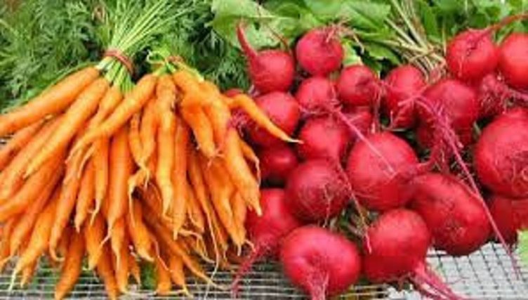 Havucun faydaları nelerdir? Havuç nelere iyi gelir?