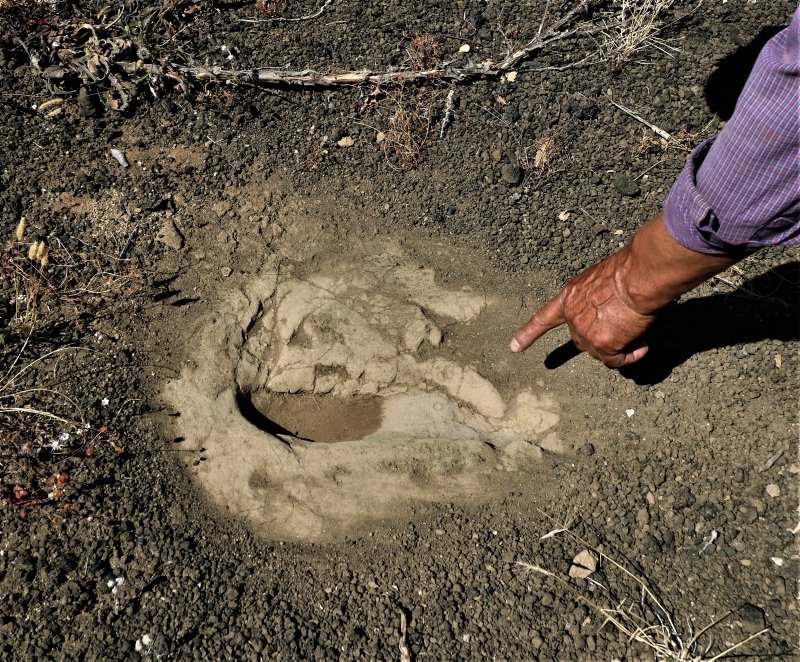 Manisa’da 12 bin yıl öncesine ait olduğu düşünülen ayak izleri zamana meydan okuyor