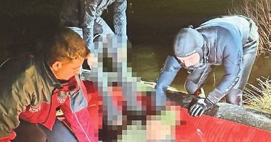 At gezintisi can aldı