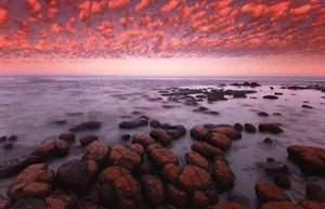 Dünyanın en ilginç kahininden korkunç kehanet