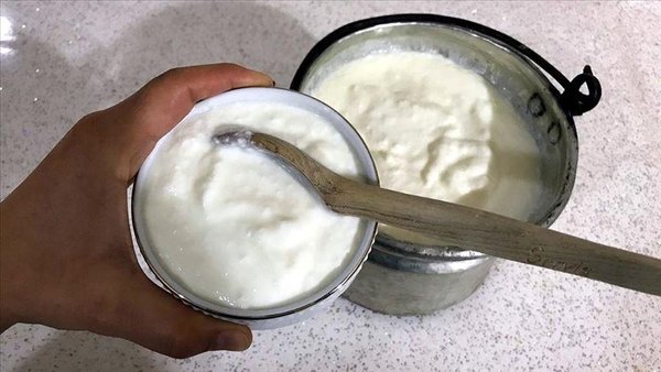 bagisiklik-nasil-guclendirilir-bu-besinleri-beslenme-duzeninize-ekleyin-kefir-yogurt-1756269222977.jpg