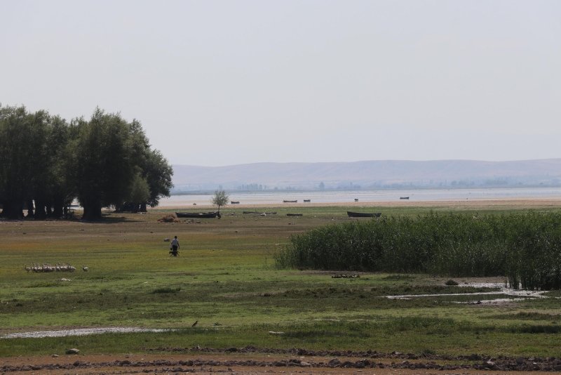 Nilüferleriyle ünlü Işıklı Gölü’nde tehlike çanları: Suyu 300 metre çekildi