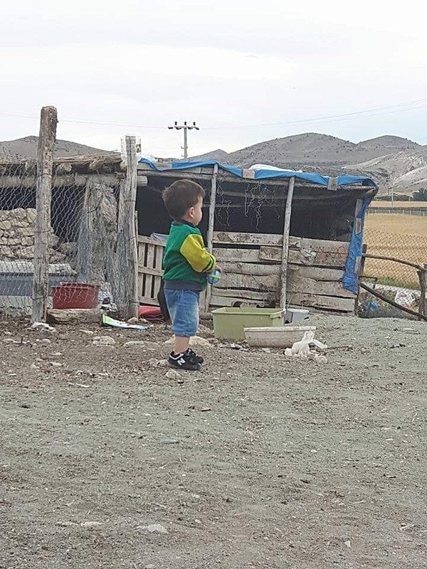 Küçük bir ısırık büyük bir acı