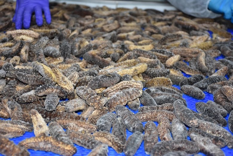 İzmir’den Japonya ve Çin’e 30 milyon dolarlık ihracat