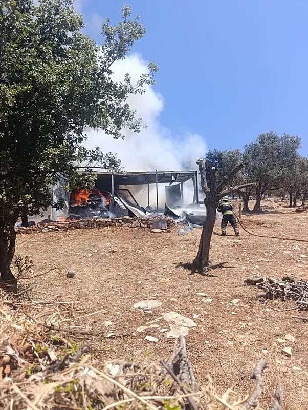muglada-yasli-ciftin-yasadigi-konteyner-kule-dondu-1779800736528.jpeg