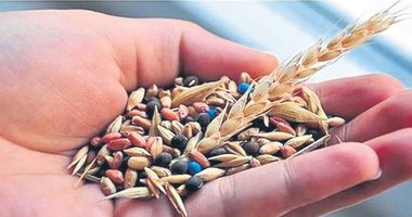 Muğla’da üretilen 22 milyon tohum üreticilere ulaştırıldı
