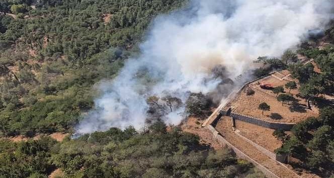 İzmir’de yangın çıkaranlar tespit edildi: 5 tutuklama