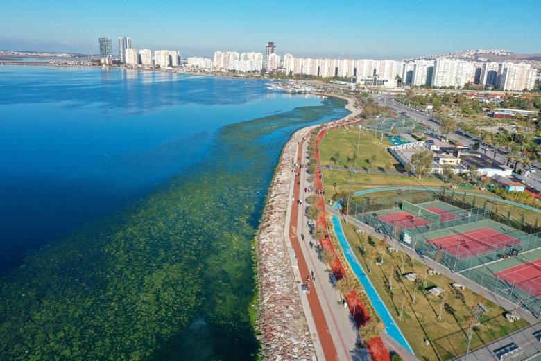 Deniz marulları İzmir Körfezi’ni yeşile bürüdü