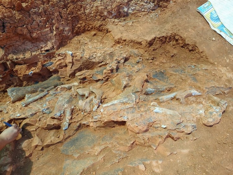 Denizli’de keşfedildi! 9 milyon yıl öncesinden kalma
