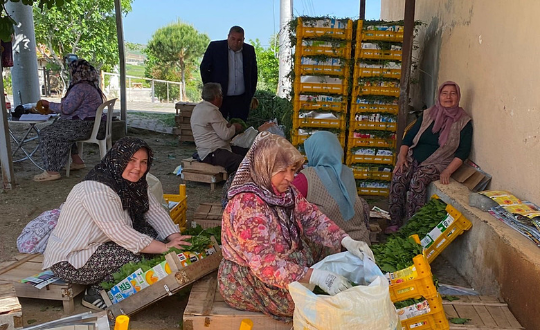 manisada-uzumden-once-yaprak-kazandirdi-asma-yapraga-yogun-ilgi-1778744095808.png