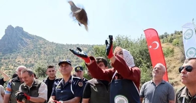 Afyonkarahisar’da 400 keklik doğaya salındı! Vali Yiğitbaşı: Kenelere karşı keklik timi görevde