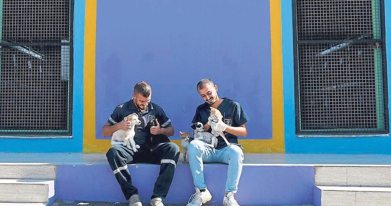 Kuşadası’nın sokak hayvanları sevgi ve müzikle iyileşiyor