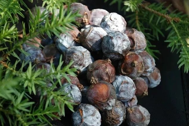 Etkilerine gerçekten inanamayacaksınız! Kansızlıktan saç dökülmesine kadar...