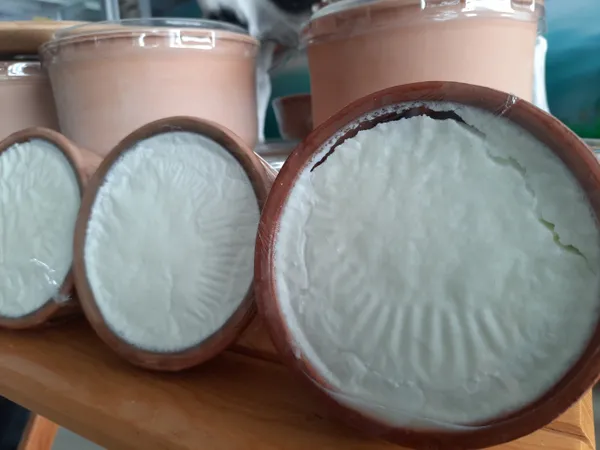her-gun-yiyoruz-ama-hikayesini-bilmiyoruz-yogurt-nasil-yogurt-oldu-ilk-yogurt-nasil-bulundu-ilk-yogurt-mayasi-1783407713794.jpg