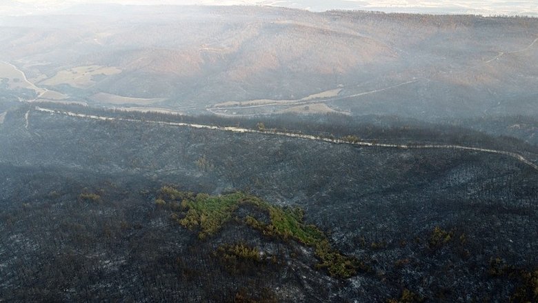 Bakan Yumaklı duyurdu: Gelibolu’daki orman yangını tamamen kontrol altına alındı
