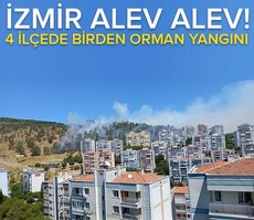 Son dakika: İzmir’in 4 farklı ilçesinde orman yangını! Havadan ve karadan müdahale