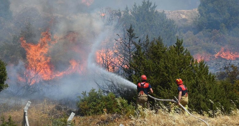 ‘Ormanlarımız stres altında’