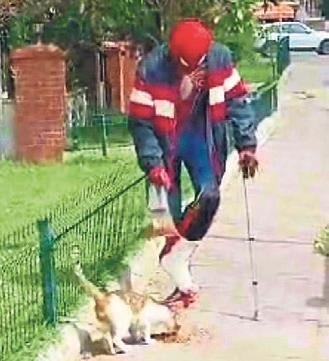 Yerli örümcek adam can dostları unutmadı