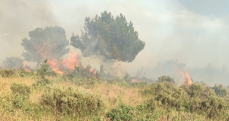 Çanakkale’de çıkan yangına müdahale ediliyor