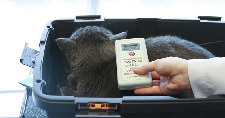 Kimliklendirilen ev hayvanı sayısı 2,4 milyona yaklaştı