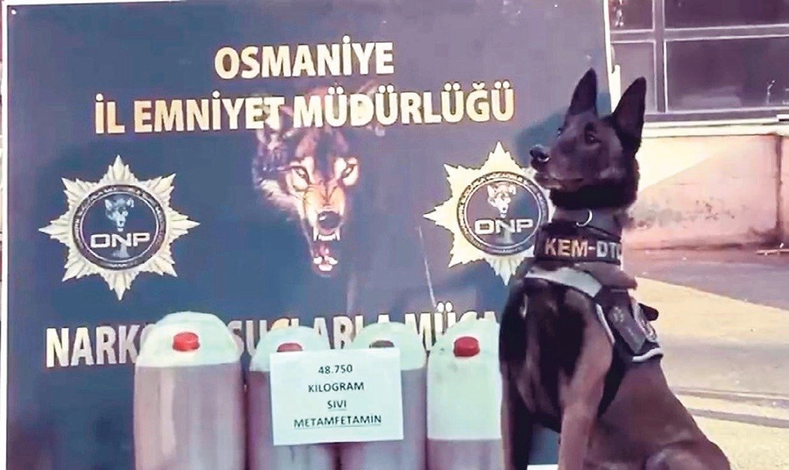 Karanlık ağlara büyük darbe