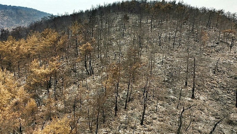 Yanan ormanlık alanların görüntüleri tehlikenin büyüklüğünü gösteriyor