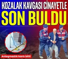 Kozalak kavgası cinayetle son buldu