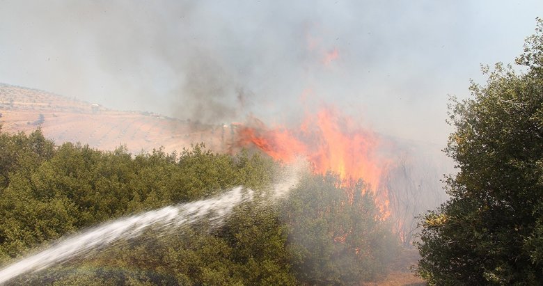 Manisa’da 7 dönüm alan yandı