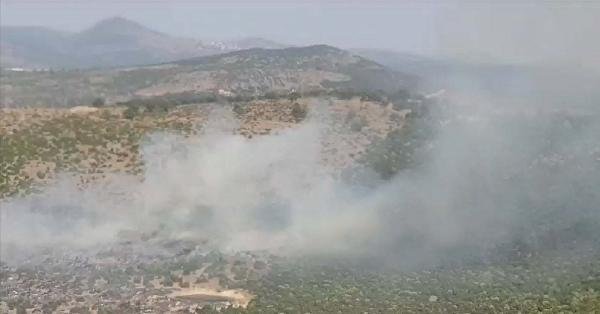 İzmir'de makilik alanda yangın çıktı! Soğutma çalışması yapılıyor