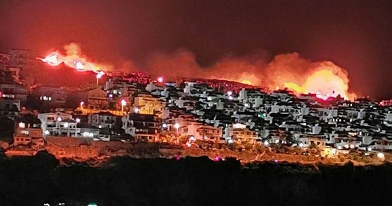 Son dakika: İzmir’de makilik alanda yangın!