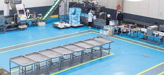 İzmir’in parlayan yıldızı Fade Gıda