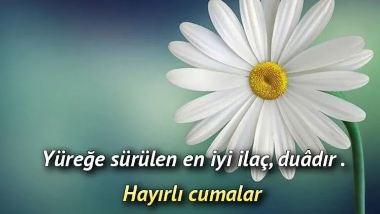cuma-mesajlari-2026-en-guzel-kisa-anlamli-duali-ve-resimli-hayirli-cumalar-mesajlari-1793280937055.jpg