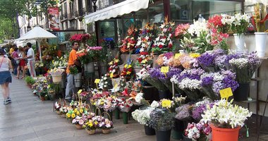 Çiçekçilik sektöründen yerel yönetimlere çağrı