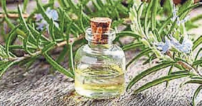 Yazın kuruyan saçlara biberiye yağlı sprey