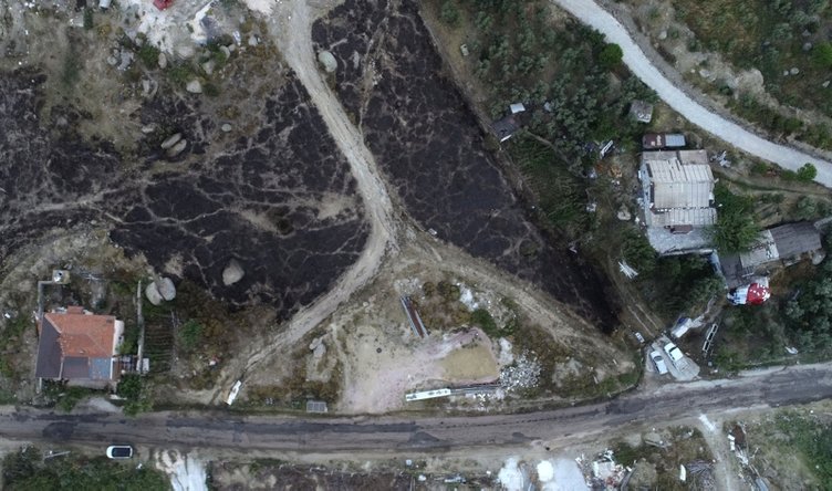 Marmara Adası’ndaki orman yangınında 80 hektar kül oldu