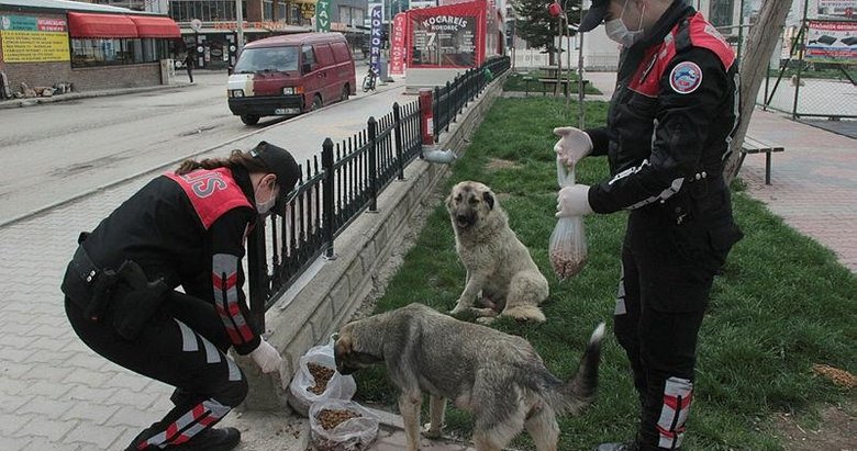 Afyonkarahisar’da polis, sokak hayvanlarına mama bıraktı
