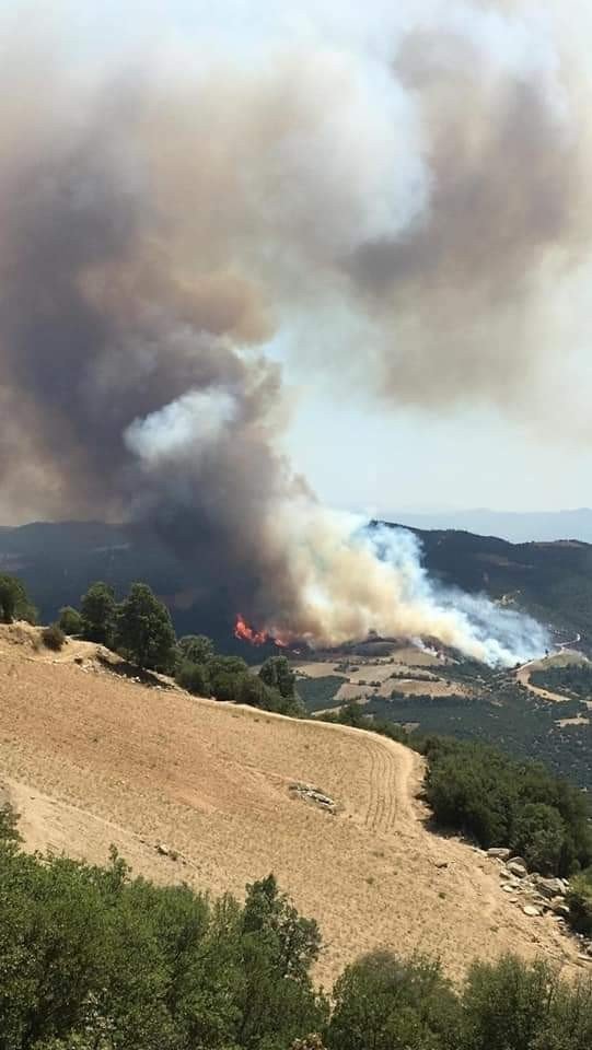 Söndürme çalışmalarına giden traktör kül oldu