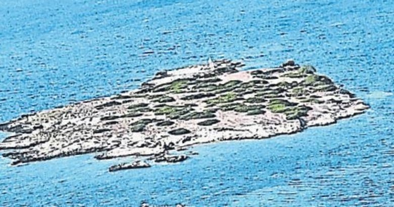 Eşek Adası'nı 1.35 Milyon Liraya Satımış 2 Soyer her şeyi sattı yine de batırdı