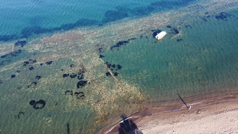 İzmir Dikili’de yüzerken buldu! Ekipler hemen harekete geçti