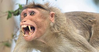 ’7 ay yaşar’ dediler, 3’üncü kitabını yazdı!