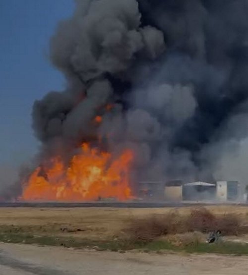 Son dakika: İzmir’de kozmetik fabrikasındaki yangın kontrol altında