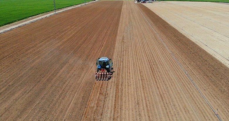Tarım üretimi kuraklık nedeniyle tehdit altında!