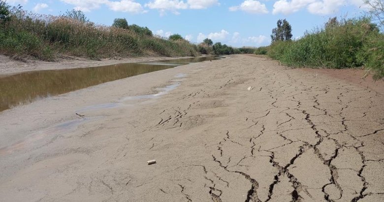 Aydın tarımının can damarı Büyük Menderes Nehri’nde kuraklık alarmı!