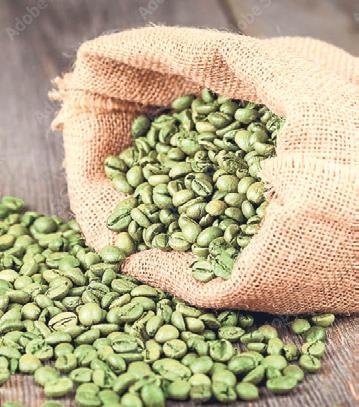 Vejetaryenler için protein kaynağı bamya tohumu